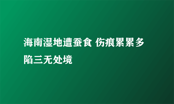 海南湿地遭蚕食 伤痕累累多陷三无处境