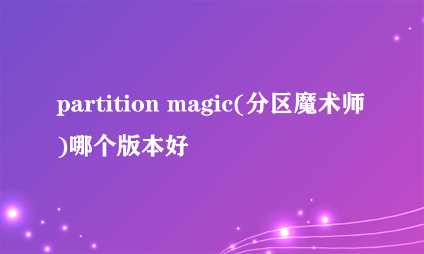 partition magic(分区魔术师)哪个版本好