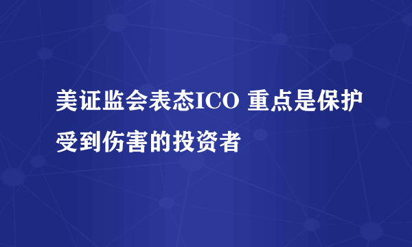 美证监会表态ICO 重点是保护受到伤害的投资者