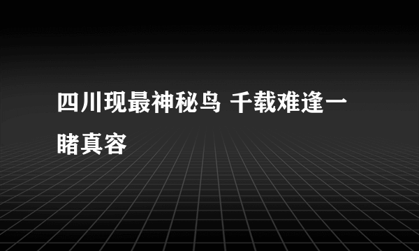 四川现最神秘鸟 千载难逢一睹真容