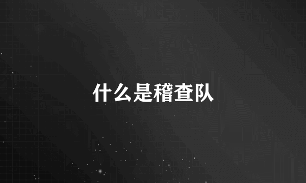 什么是稽查队