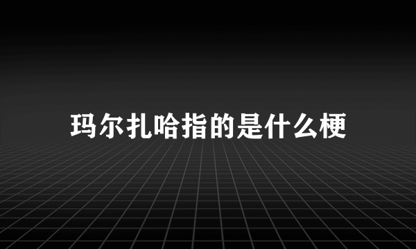 玛尔扎哈指的是什么梗