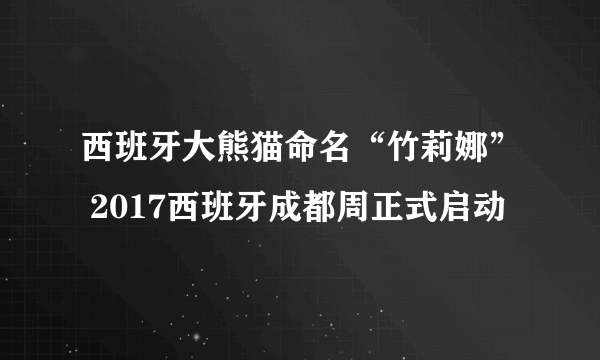 西班牙大熊猫命名“竹莉娜” 2017西班牙成都周正式启动