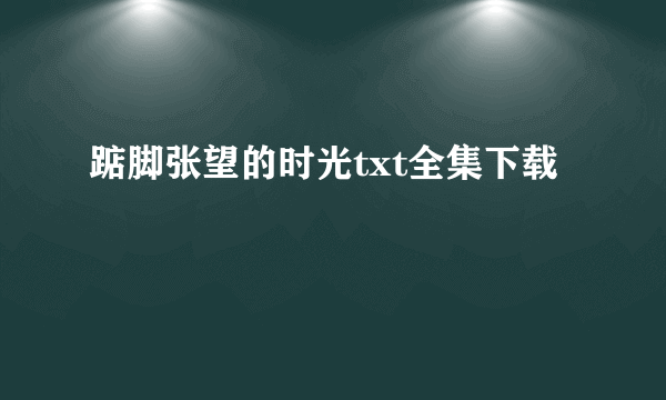 踮脚张望的时光txt全集下载