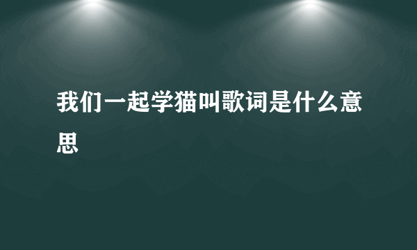 我们一起学猫叫歌词是什么意思