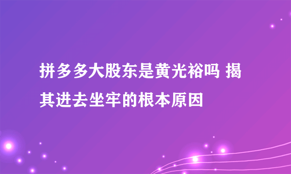 拼多多大股东是黄光裕吗 揭其进去坐牢的根本原因