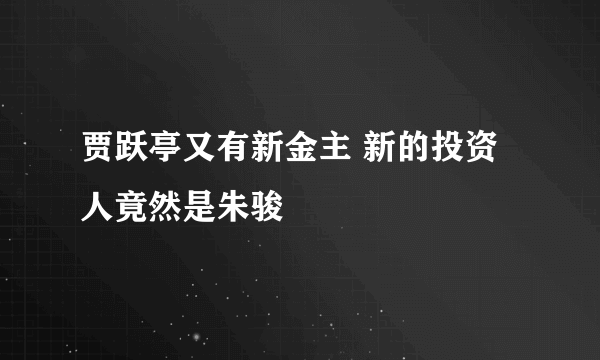 贾跃亭又有新金主 新的投资人竟然是朱骏