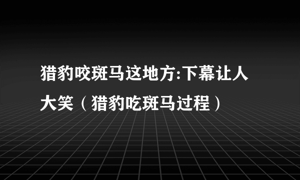 猎豹咬斑马这地方:下幕让人大笑（猎豹吃斑马过程）