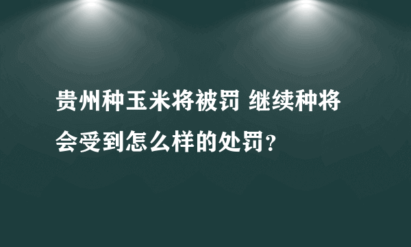 贵州种玉米将被罚 继续种将会受到怎么样的处罚？