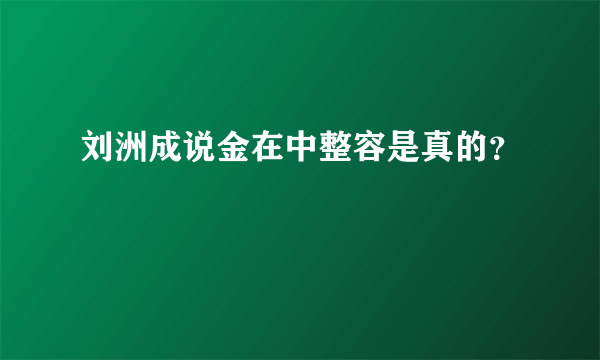 刘洲成说金在中整容是真的？