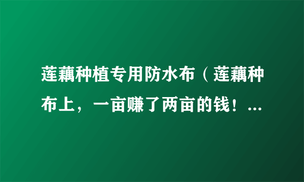 莲藕种植专用防水布（莲藕种布上，一亩赚了两亩的钱！）-飞外