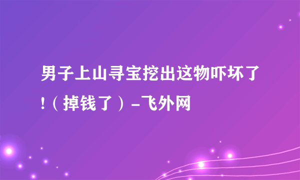 男子上山寻宝挖出这物吓坏了!（掉钱了）-飞外网