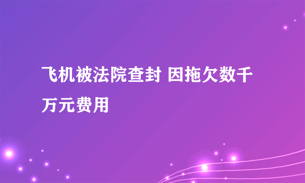 飞机被法院查封 因拖欠数千万元费用