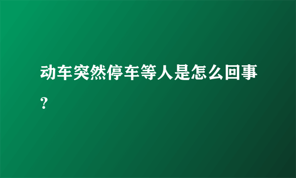 动车突然停车等人是怎么回事？