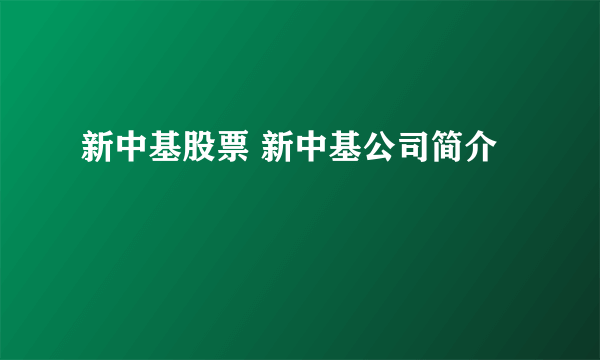 新中基股票 新中基公司简介