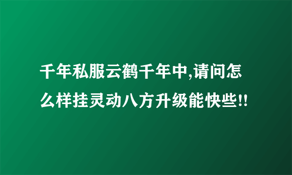 千年私服云鹤千年中,请问怎么样挂灵动八方升级能快些!!