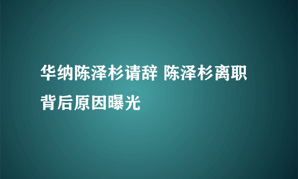 华纳陈泽杉请辞 陈泽杉离职背后原因曝光