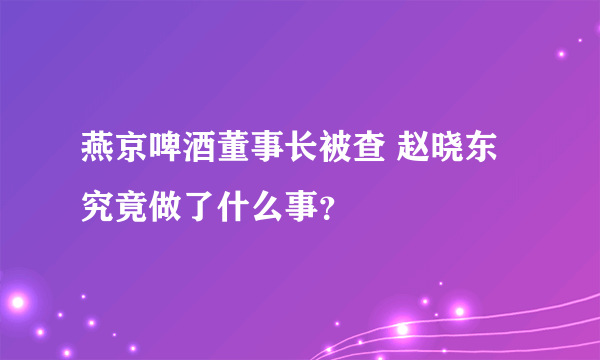 燕京啤酒董事长被查 赵晓东究竟做了什么事？