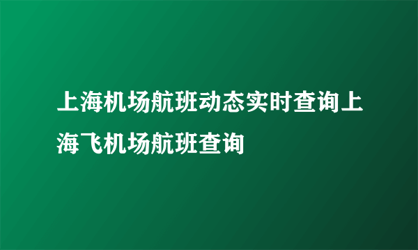 上海机场航班动态实时查询上海飞机场航班查询