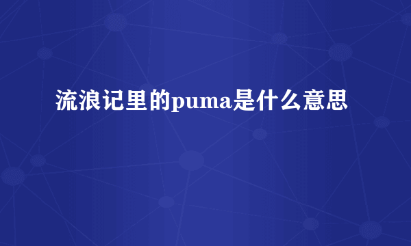 流浪记里的puma是什么意思