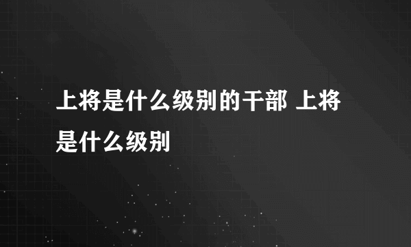 上将是什么级别的干部 上将是什么级别