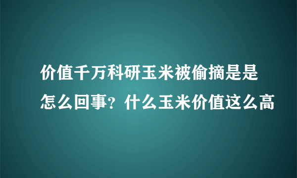 价值千万科研玉米被偷摘是是怎么回事？什么玉米价值这么高