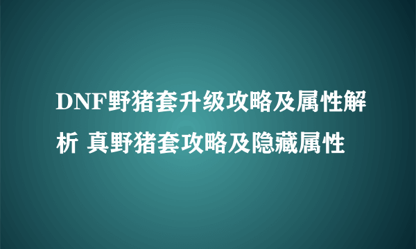 DNF野猪套升级攻略及属性解析 真野猪套攻略及隐藏属性