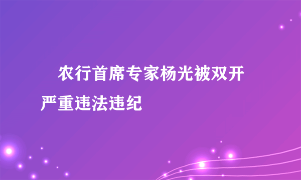 ​农行首席专家杨光被双开 严重违法违纪