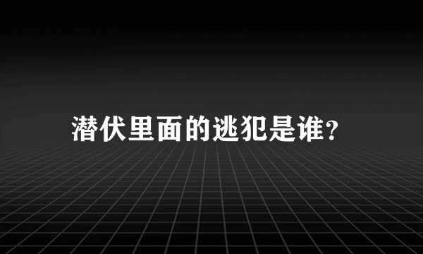 潜伏里面的逃犯是谁？