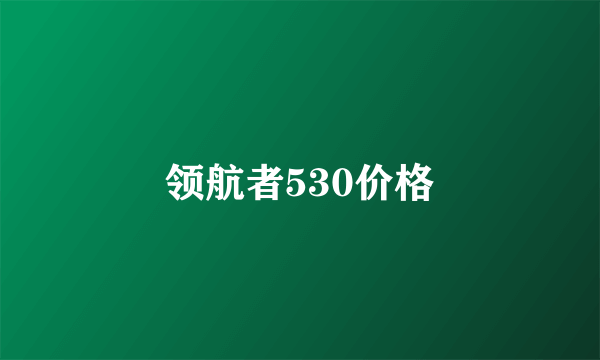 领航者530价格