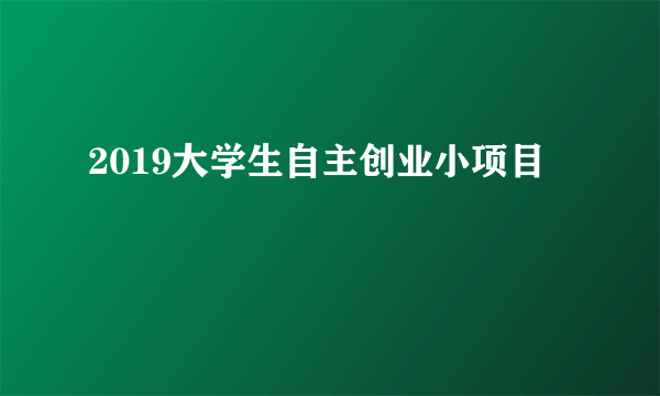 2019大学生自主创业小项目