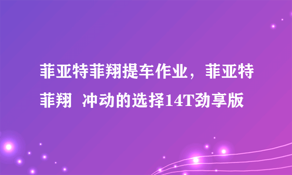 菲亚特菲翔提车作业，菲亚特菲翔  冲动的选择14T劲享版