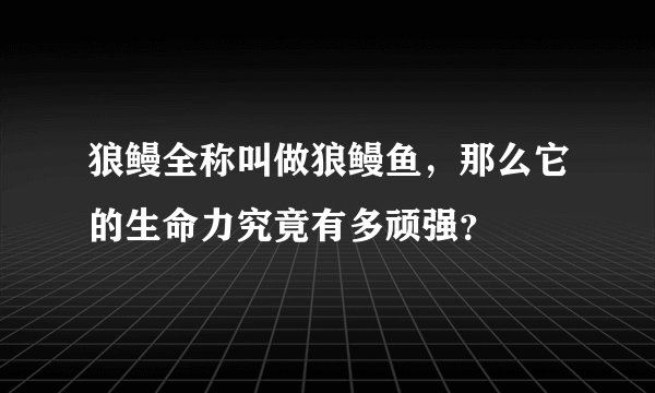 狼鳗全称叫做狼鳗鱼，那么它的生命力究竟有多顽强？