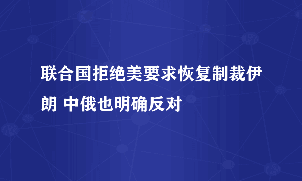 联合国拒绝美要求恢复制裁伊朗 中俄也明确反对