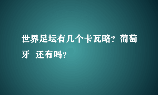 世界足坛有几个卡瓦略？葡萄牙  还有吗？