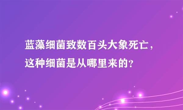 蓝藻细菌致数百头大象死亡，这种细菌是从哪里来的？