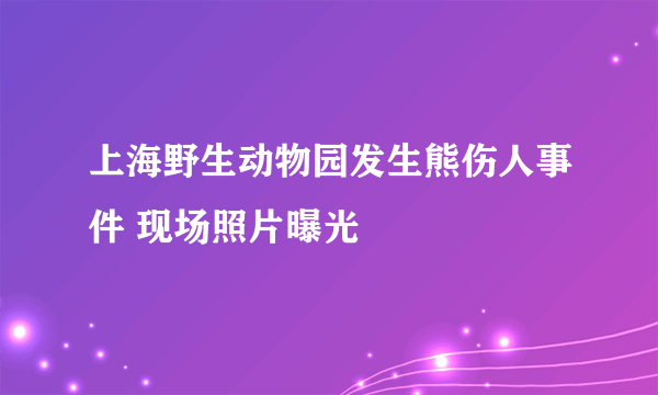 上海野生动物园发生熊伤人事件 现场照片曝光