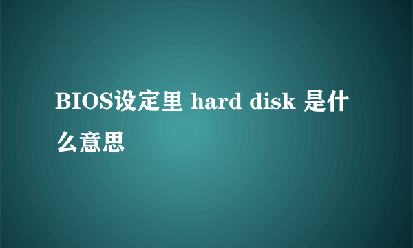 BIOS设定里 hard disk 是什么意思