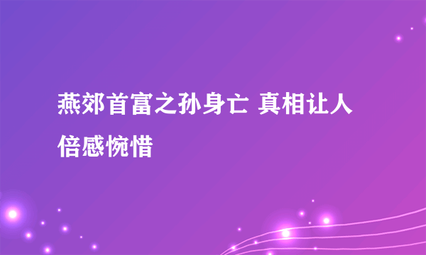 燕郊首富之孙身亡 真相让人倍感惋惜