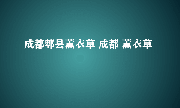 成都郫县薰衣草 成都 薰衣草