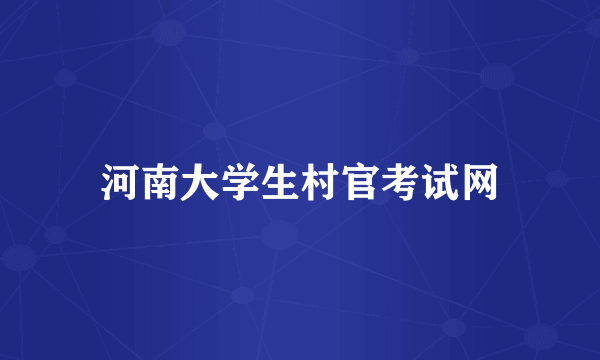 河南大学生村官考试网