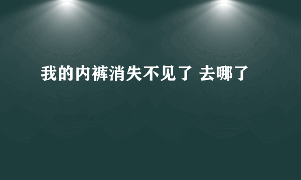 我的内裤消失不见了 去哪了