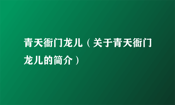 青天衙门龙儿（关于青天衙门龙儿的简介）