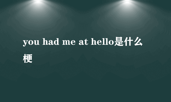 you had me at hello是什么梗