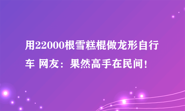 用22000根雪糕棍做龙形自行车 网友：果然高手在民间！