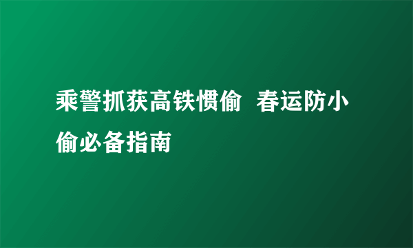 乘警抓获高铁惯偷  春运防小偷必备指南