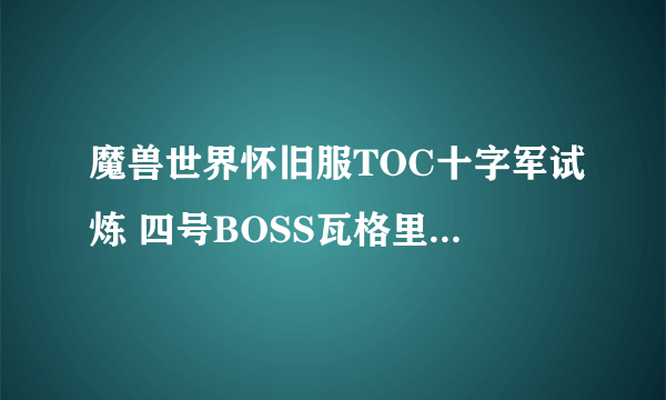 魔兽世界怀旧服TOC十字军试炼 四号BOSS瓦格里双子打法攻略