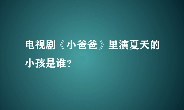 电视剧《小爸爸》里演夏天的小孩是谁？