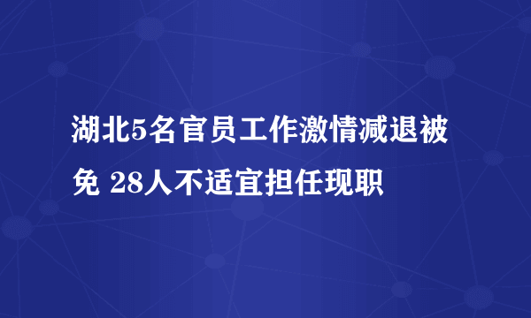 湖北5名官员工作激情减退被免 28人不适宜担任现职