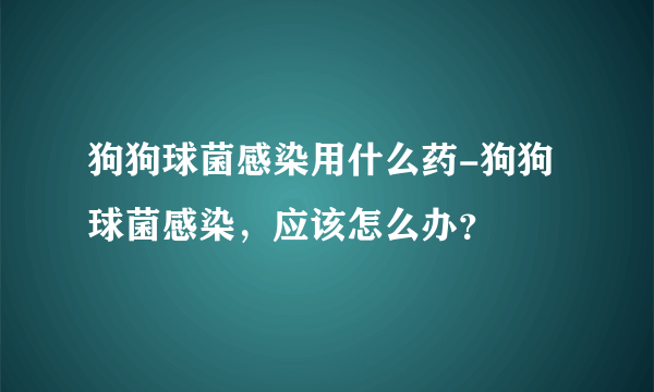 狗狗球菌感染用什么药-狗狗球菌感染，应该怎么办？